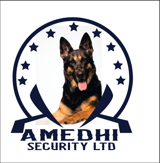 amedhi Security logo
